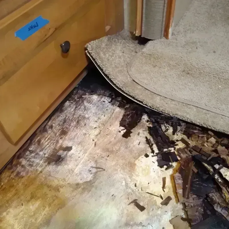 Wood Floor Water Damage in Hancock County, MS